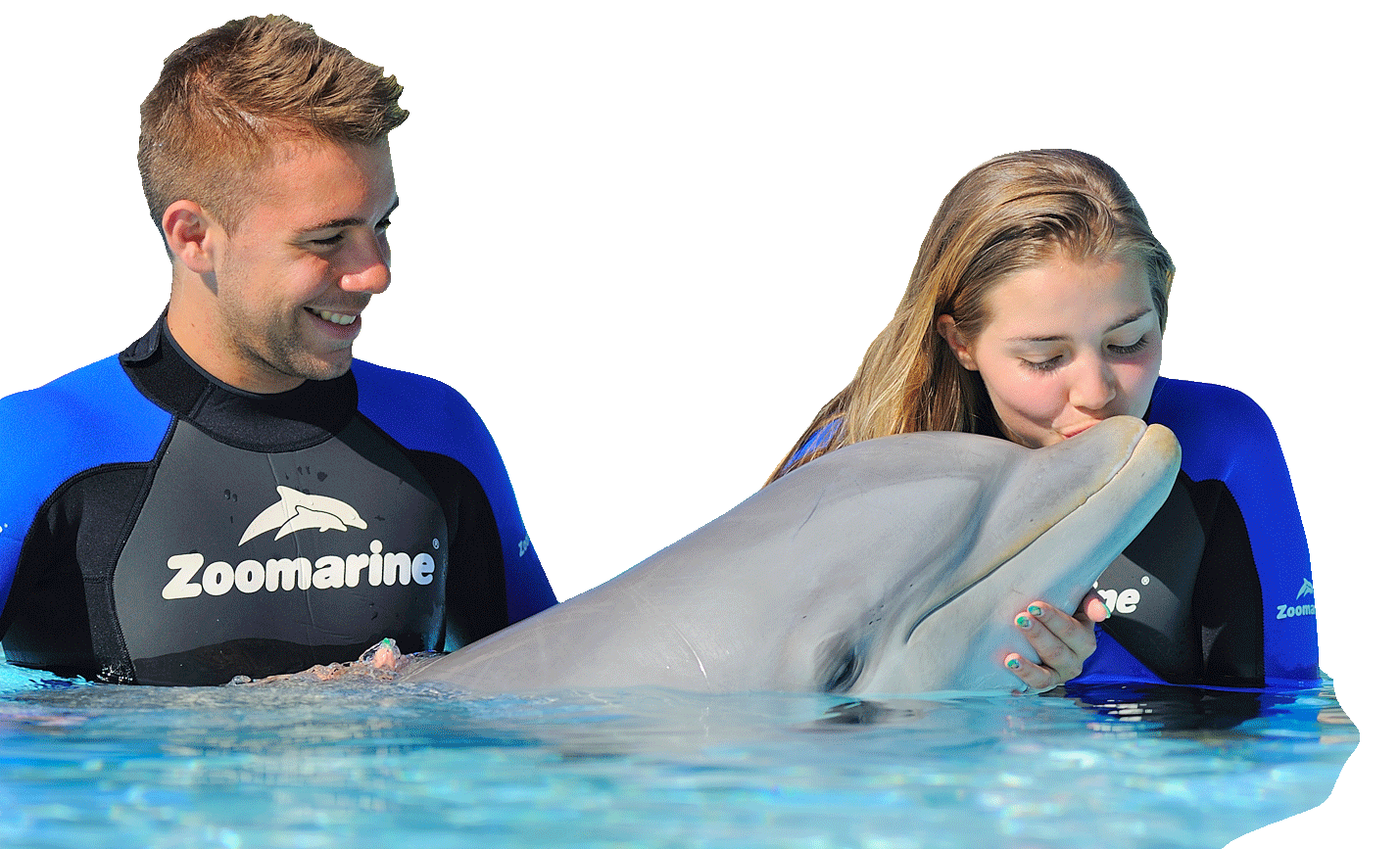 Zoomarine | Interação com golfinhos
